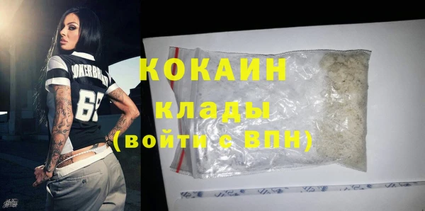 прущие грибы Беломорск