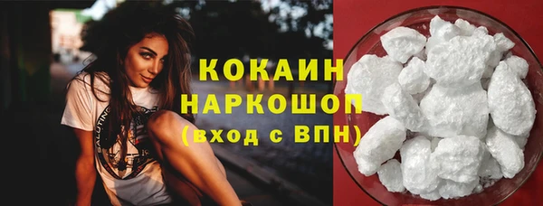 прущие грибы Беломорск