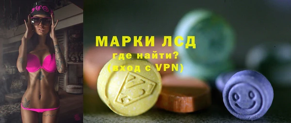 прущие грибы Беломорск
