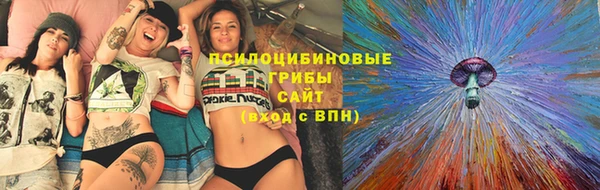 гидропоника Белоозёрский