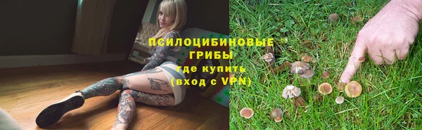 прущие грибы Беломорск