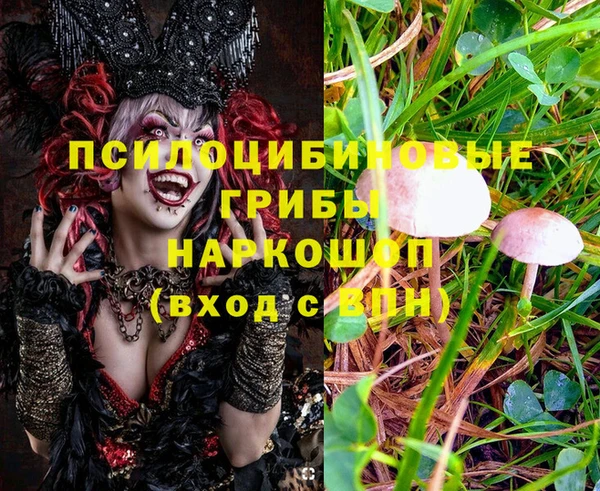 гидропоника Белоозёрский