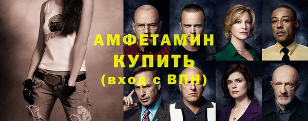прущие грибы Беломорск