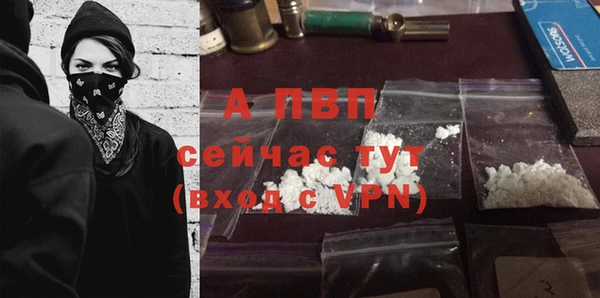 прущие грибы Беломорск