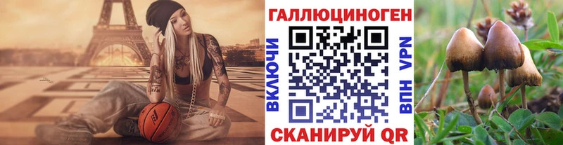 Галлюциногенные грибы прущие грибы  Купить где  Юрюзань 